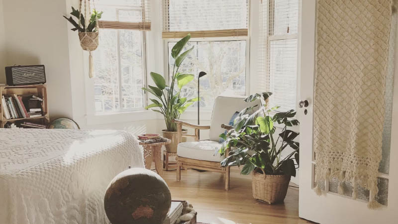 kamar minimalist dengan pot tumbuhan hijau