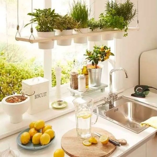 Dekorasi Dapur Minimalis dengan Tanaman Gantung