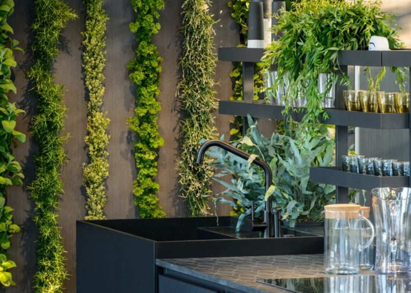 Dekorasi Dapur Minimalis dengan Tanaman Vertikal