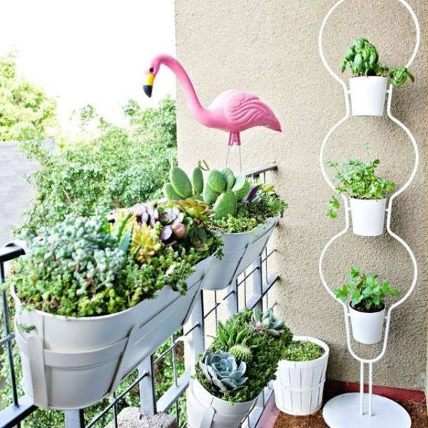 Tanaman Kaktus dan Sukulen di Balkon Minimalis 