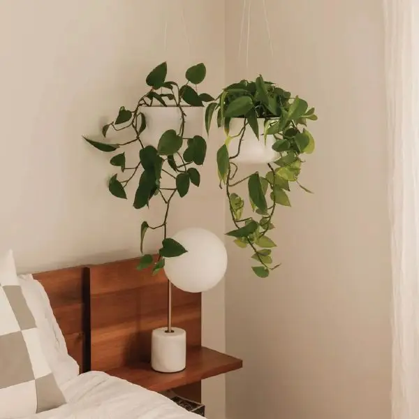 Dekorasi Kamar Minimalis Sirih Gading