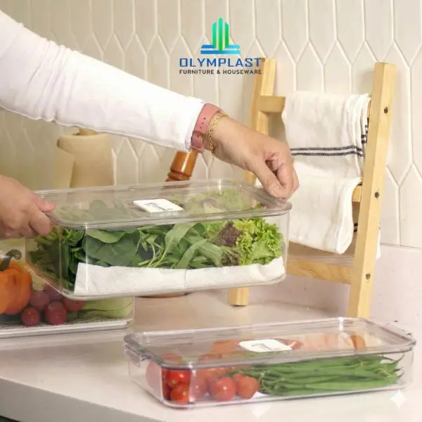 Sayuran Daun di Kotak Organizer Kulkas CBSO Olymplast