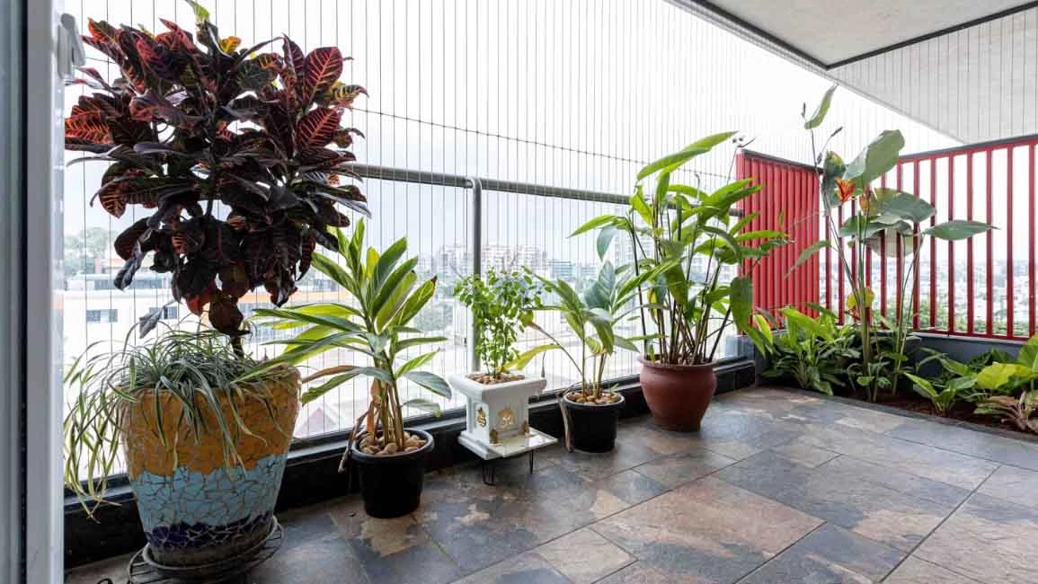 Balkon rumah minimalis dengan area tumbuhan
