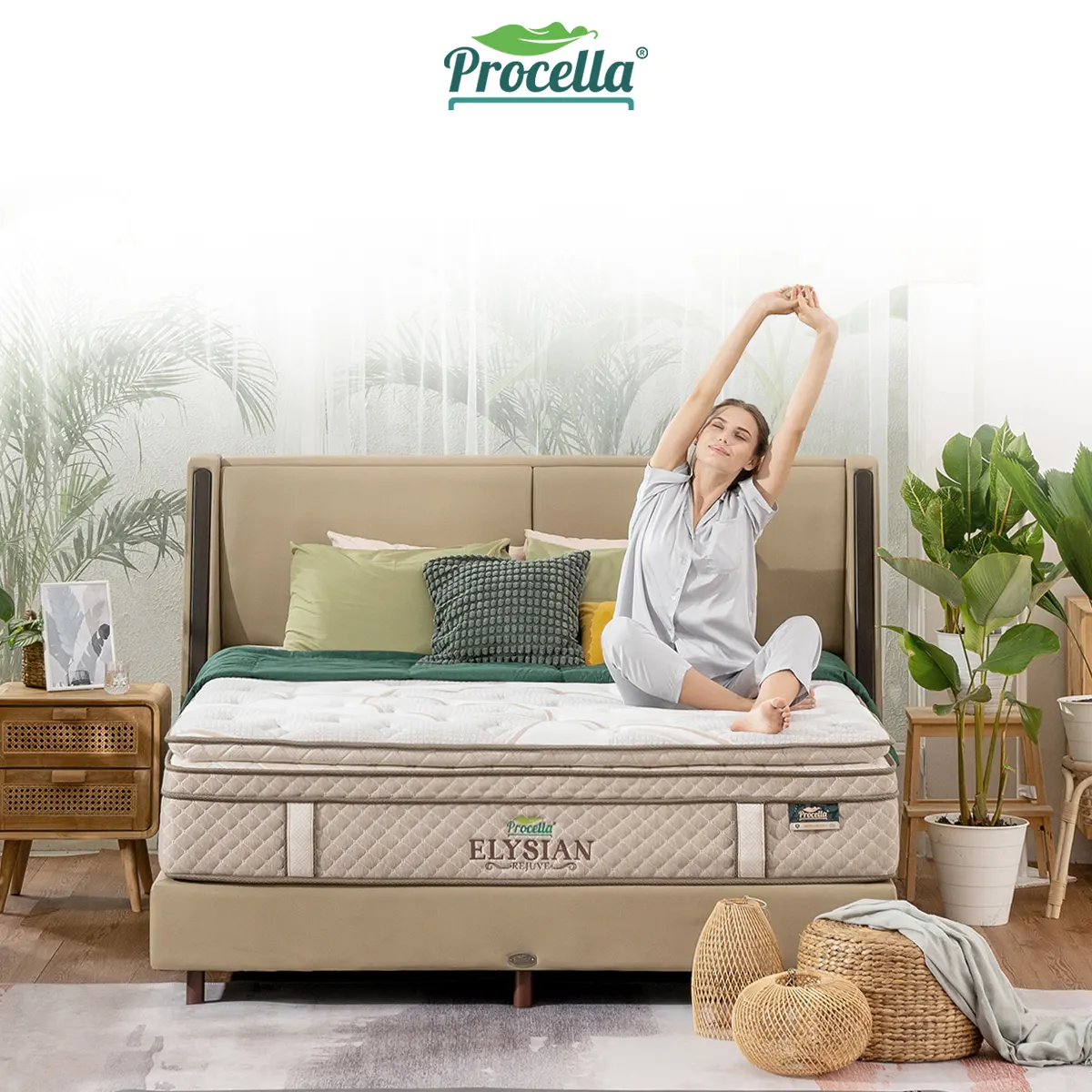 Elysian | Procella Spring Bed