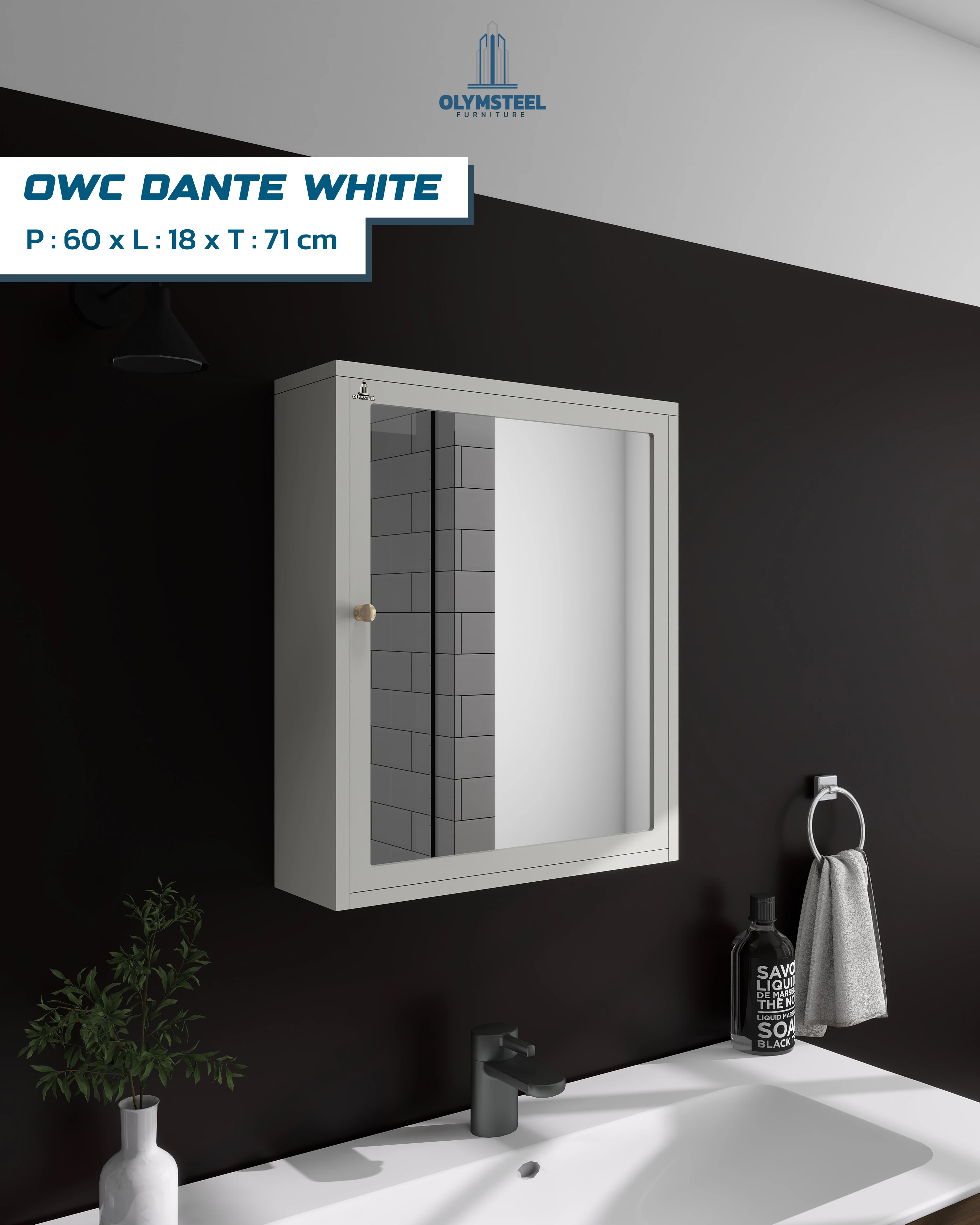 Olymsteel OWC DANTE Lemari Kamar Mandi Besi - Kabinet Besi Minimalis Dinding Anti Karat gallery 1